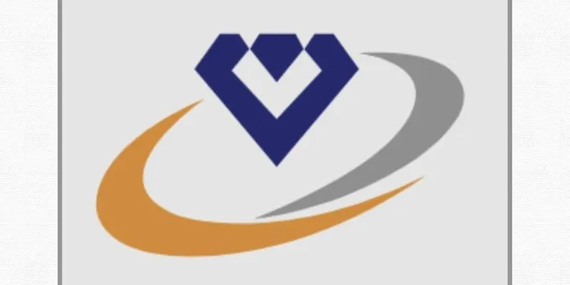 Financial Analysis Report – Vaibhav Global Ltd